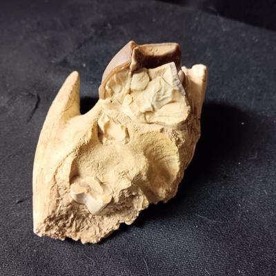 ROCKHOUND ARTIFACT FINDS