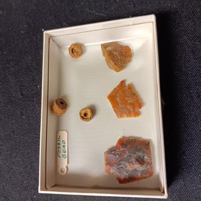 ROCKHOUND ARTIFACT FINDS