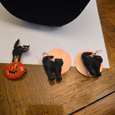 Halloween pin and earrings