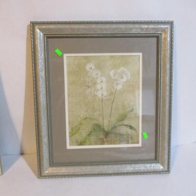 Framed Art Prints
