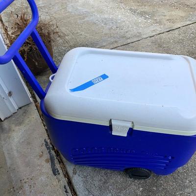 Large Igloo Polar Roller Cooler On Wheels