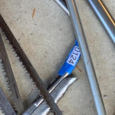 Outdoor Landscaping Saws Lot