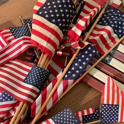 Huge Patriotic / Flags Lot
