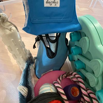 Dog accessories