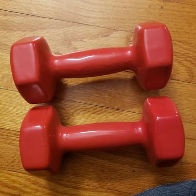 Reebok Adjustable Ankle Weights, Two Sets of Free Weights and Aires Balance Pad (LR-KD)