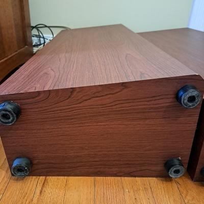 Four Axiom Millennia Speakers (LR-SD)