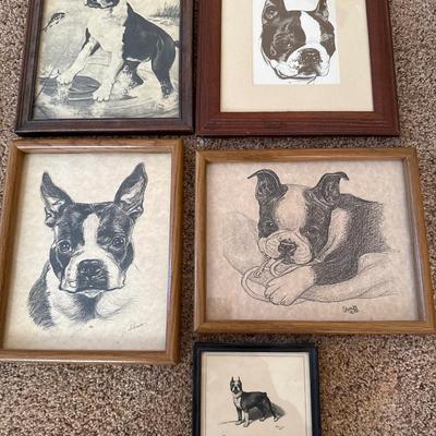 Boston Terrier pictures in frames