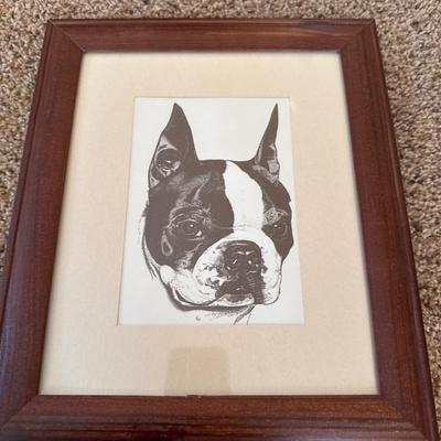 Boston Terrier pictures in frames