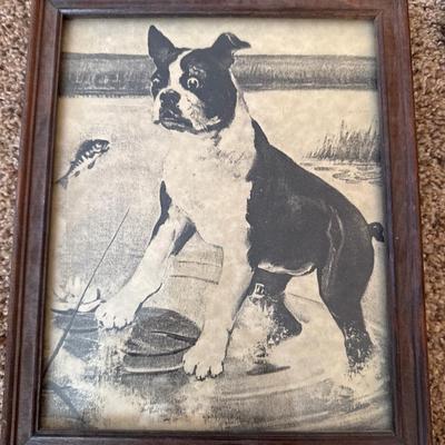 Boston Terrier pictures in frames