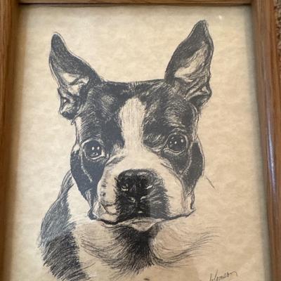 Boston Terrier pictures in frames