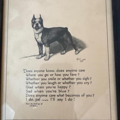 Boston Terrier pictures in frames