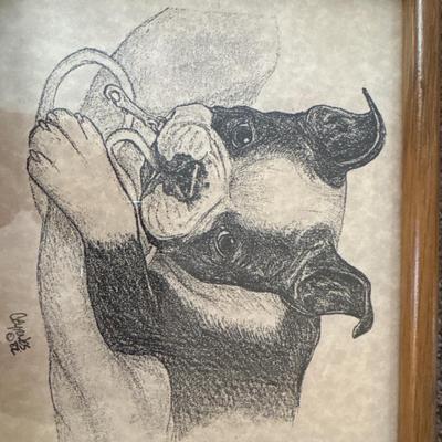 Boston Terrier pictures in frames