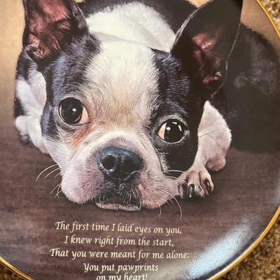 Vintage Bone China dogs, plates and decor