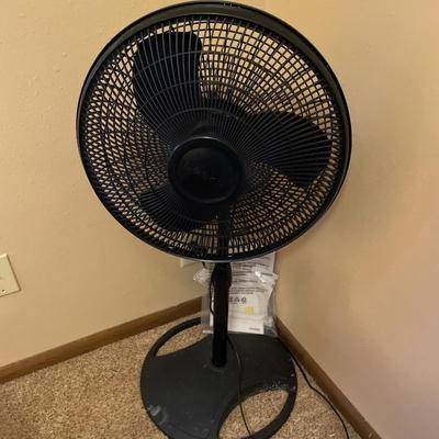 Black Lasko oscillating fan