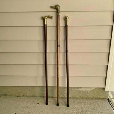 LOT 95 M: Collection of Brass Handled Walking Canes