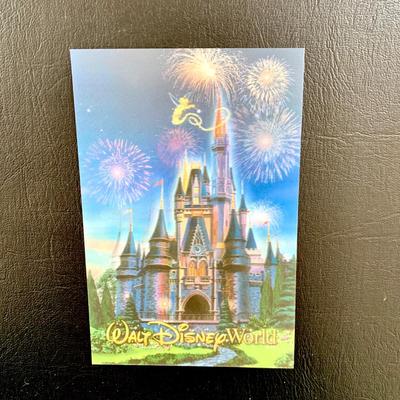 LOT 103 M: Disney Collection: Keychains, Postcards, CD, Playing Cards, Grumpy & Figment Stuffed Animals, DVD's, & More