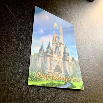 LOT 103 M: Disney Collection: Keychains, Postcards, CD, Playing Cards, Grumpy & Figment Stuffed Animals, DVD's, & More