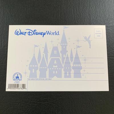 LOT 103 M: Disney Collection: Keychains, Postcards, CD, Playing Cards, Grumpy & Figment Stuffed Animals, DVD's, & More