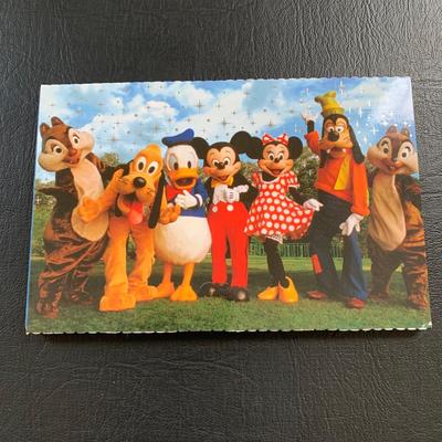 LOT 103 M: Disney Collection: Keychains, Postcards, CD, Playing Cards, Grumpy & Figment Stuffed Animals, DVD's, & More