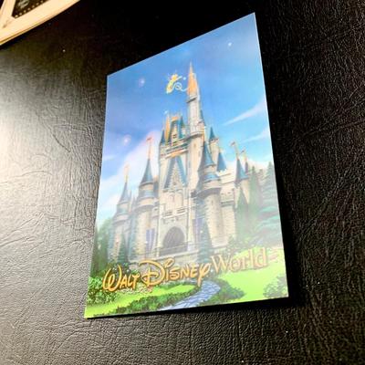 LOT 103 M: Disney Collection: Keychains, Postcards, CD, Playing Cards, Grumpy & Figment Stuffed Animals, DVD's, & More