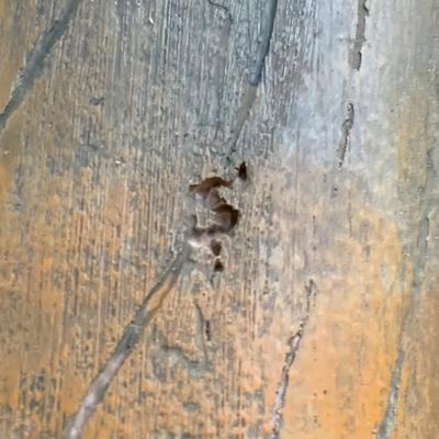 LOT 108 M: Religious Collection: Crucifixes, Figures, Teleflora Music Box, & Hidden Nativity Egg