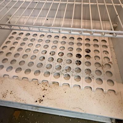 Frigidaire Commercial Freezer (B4-HS)