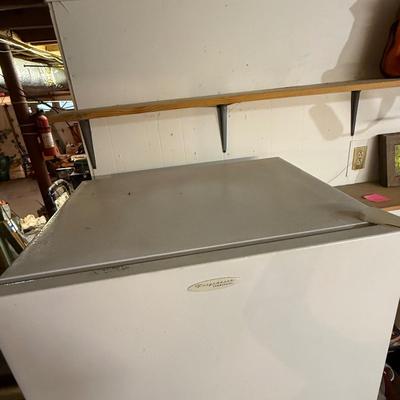 Frigidaire Commercial Freezer (B4-HS)