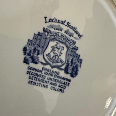 BLUE/WHITE PLATE LOT