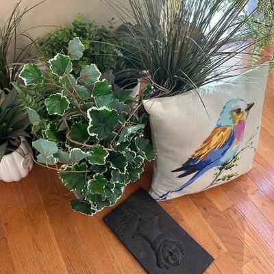 GARDEN QUEEN LOT