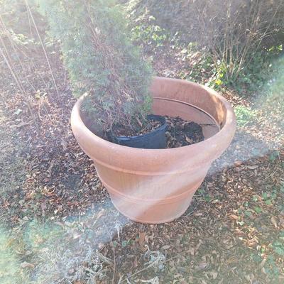 2 pc XL Plastic PLanter