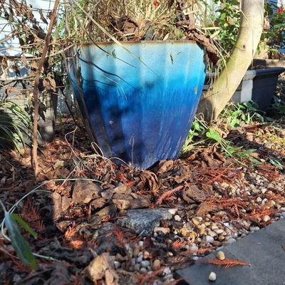 blue planter