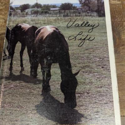 Vintage Year Books Odessa TX Clemson Univ Cullowhee NC Milligan TN