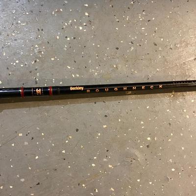 Variety of Fishing Poles (B2-BM)