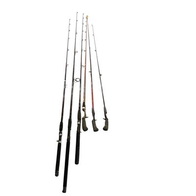 Variety of Fishing Poles (B2-BM)