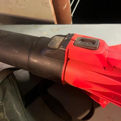 Craftsman Electric Leaf Vacuum (B2-ES)