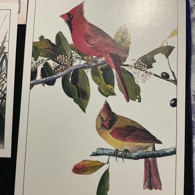 John James Audubon