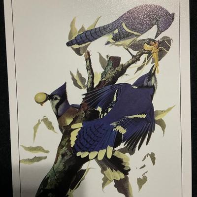 John James Audubon