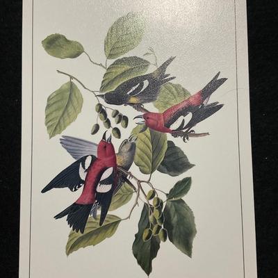 John James Audubon