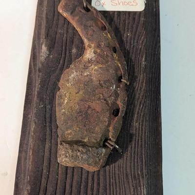 Revolutionary War Ox Shoes