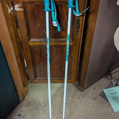 Scott Skiing Poles