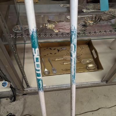 Scott Skiing Poles
