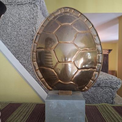 Turtle Shell