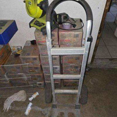 #1012 • Dolly and Ryobi Fan
