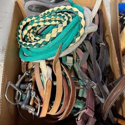 Box of Horse Tack – Reins/Bits/Lead Ropes/Halters