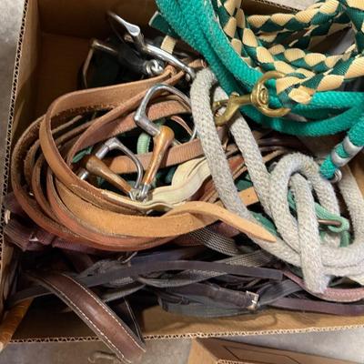 Box of Horse Tack – Reins/Bits/Lead Ropes/Halters