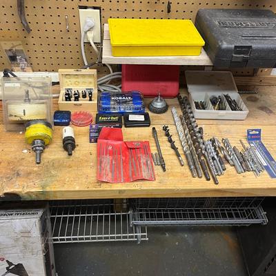 Large Selection of Drill Bits (B3-MG)