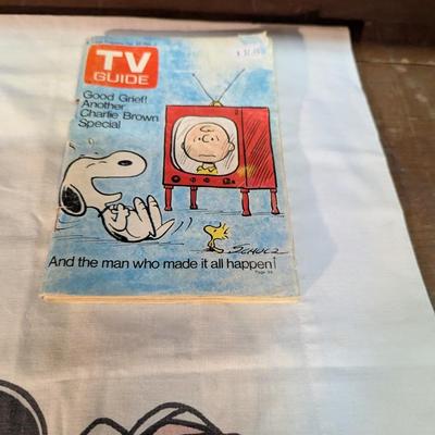 Charlie Brown Pillow Case & TV Guide