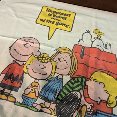 Charlie Brown Pillow Case & TV Guide
