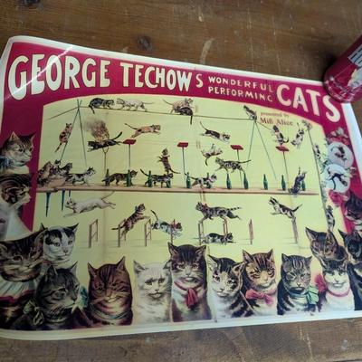 George Techow’s Wonderful Performing Cats Photo Print