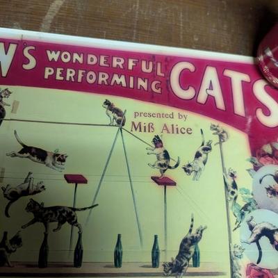 George Techow’s Wonderful Performing Cats Photo Print